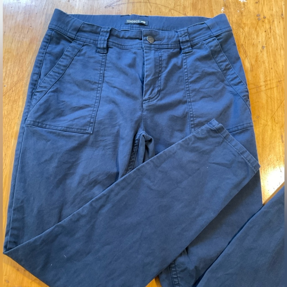 Toad & Co Women's Blue Earthworks Skinny Pants Size 6